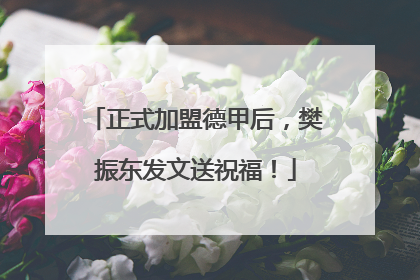 正式加盟德甲后，樊振东发文送祝福！