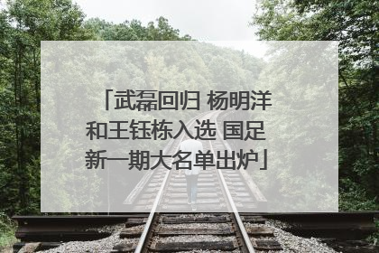 武磊回归 杨明洋和王钰栋入选 国足新一期大名单出炉