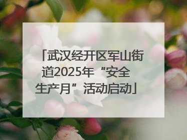武汉经开区军山街道2025年“安全生产月”活动启动