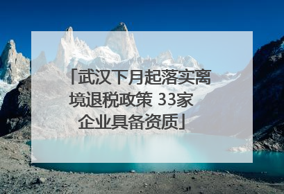 武汉下月起落实离境退税政策 33家企业具备资质