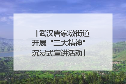 武汉唐家墩街道开展“三大精神”沉浸式宣讲活动