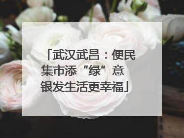 武汉武昌：便民集市添“绿”意 银发生活更幸福