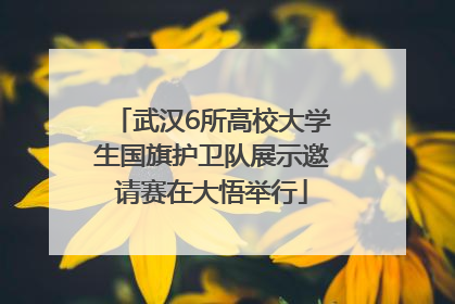 武汉6所高校大学生国旗护卫队展示邀请赛在大悟举行
