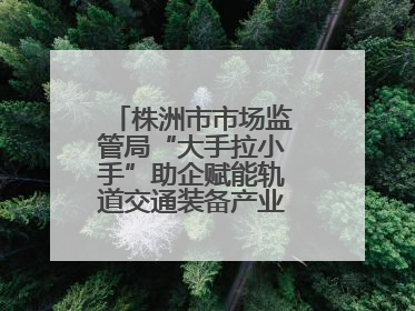 株洲市市场监管局“大手拉小手”助企赋能轨道交通装备产业链质量升级