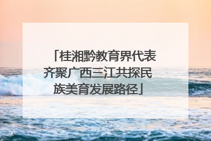 桂湘黔教育界代表齐聚广西三江共探民族美育发展路径