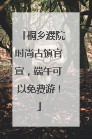 桐乡濮院时尚古镇官宣，端午可以免费游！
