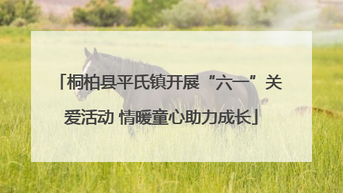 桐柏县平氏镇开展“六一”关爱活动 情暖童心助力成长
