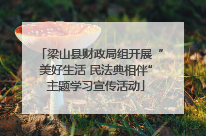 梁山县财政局组开展“美好生活 民法典相伴”主题学习宣传活动