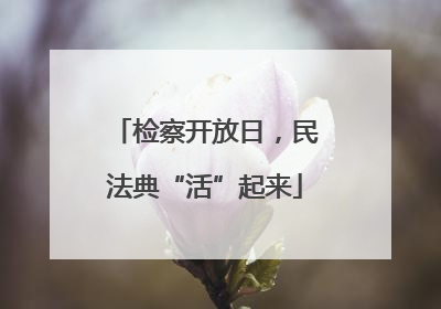 检察开放日，民法典“活”起来