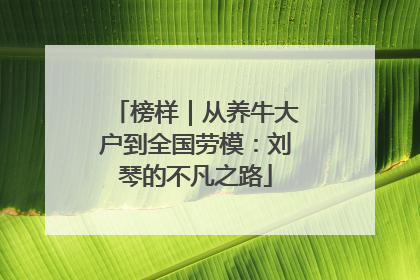 榜样｜从养牛大户到全国劳模：刘琴的不凡之路