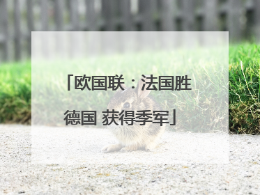欧国联：法国胜德国 获得季军