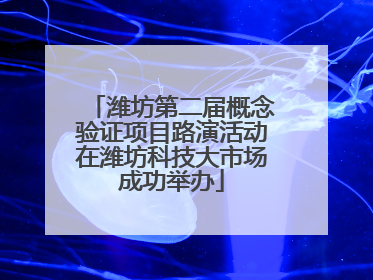 潍坊第二届概念验证项目路演活动在潍坊科技大市场成功举办