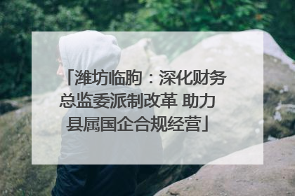潍坊临朐：深化财务总监委派制改革 助力县属国企合规经营