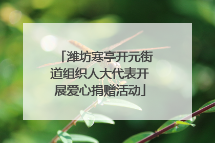 潍坊寒亭开元街道组织人大代表开展爱心捐赠活动