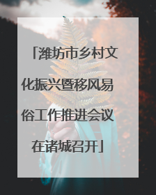 潍坊市乡村文化振兴暨移风易俗工作推进会议在诸城召开