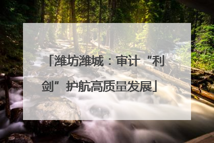 潍坊潍城：审计“利剑”护航高质量发展
