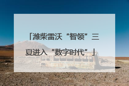 潍柴雷沃“智领”三夏进入“数字时代”