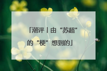 潮评丨由“苏超”的“梗”想到的