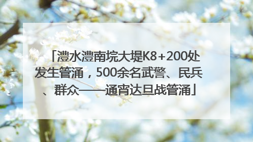 澧水澧南垸大堤K8+200处发生管涌，500余名武警、民兵、群众——通宵达旦战管涌