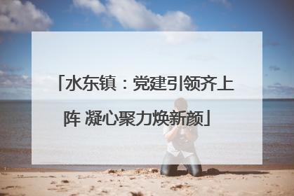 水东镇：党建引领齐上阵 凝心聚力焕新颜