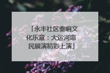 永丰社区奏响文化乐章：大运河惠民展演精彩上演