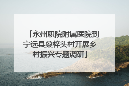 永州职院附属医院到宁远县桑梓头村开展乡村振兴专题调研