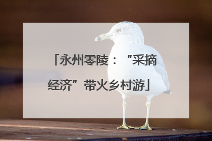永州零陵：“采摘经济”带火乡村游
