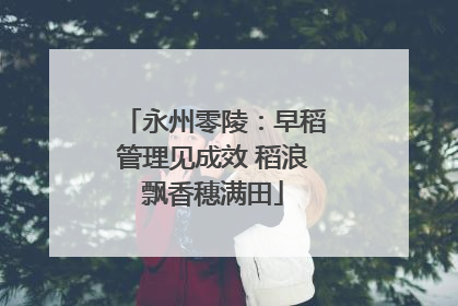 永州零陵：早稻管理见成效 稻浪飘香穗满田