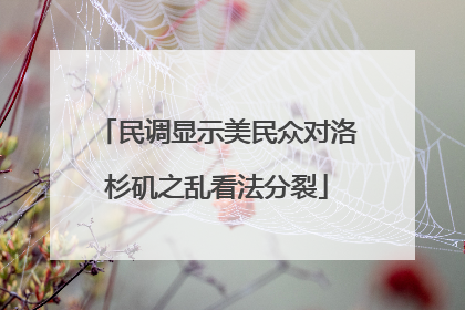 民调显示美民众对洛杉矶之乱看法分裂