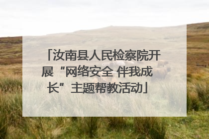 汝南县人民检察院开展“网络安全 伴我成长”主题帮教活动