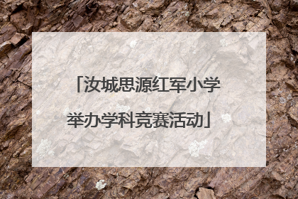 汝城思源红军小学举办学科竞赛活动