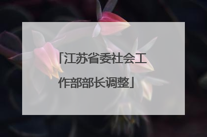 江苏省委社会工作部部长调整