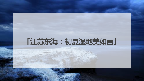江苏东海：初夏湿地美如画