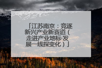 江苏南京：竞逐新兴产业新赛道（走进产业地标·发展一线探变化）