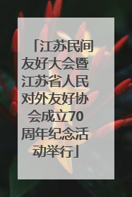 江苏民间友好大会暨江苏省人民对外友好协会成立70周年纪念活动举行