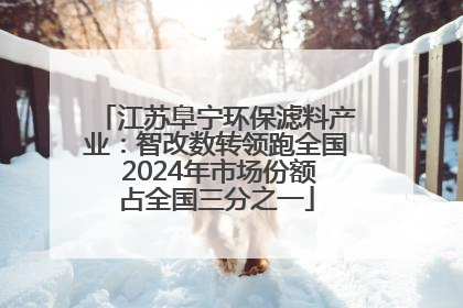 江苏阜宁环保滤料产业：智改数转领跑全国 2024年市场份额占全国三分之一