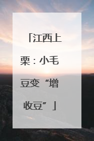 江西上栗：小毛豆变“增收豆”