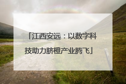 江西安远：以数字科技助力脐橙产业腾飞