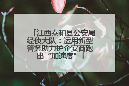 江西泰和县公安局经侦大队：运用新型警务助力护企安商跑出“加速度”