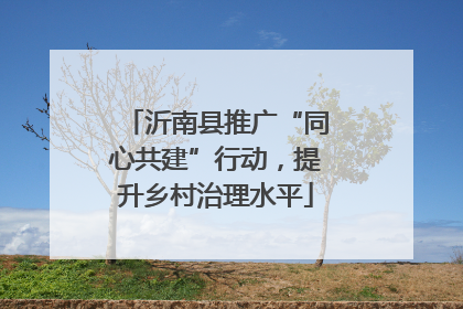 沂南县推广“同心共建”行动，提升乡村治理水平