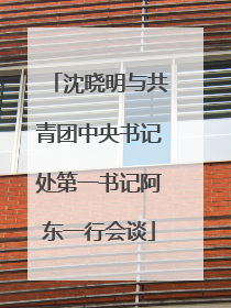 沈晓明与共青团中央书记处第一书记阿东一行会谈