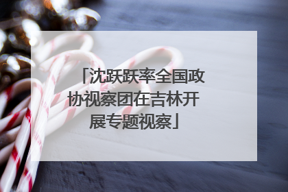 沈跃跃率全国政协视察团在吉林开展专题视察