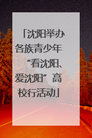 沈阳举办各族青少年“看沈阳、爱沈阳”高校行活动