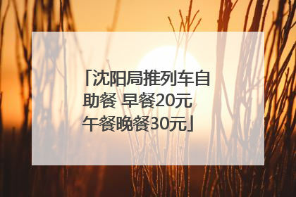 沈阳局推列车自助餐 早餐20元午餐晚餐30元