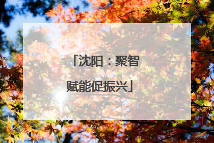 沈阳：聚智赋能促振兴
