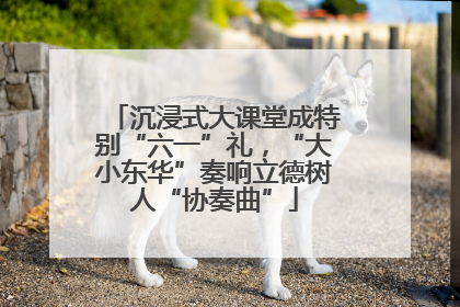 沉浸式大课堂成特别“六一”礼，“大小东华”奏响立德树人“协奏曲”