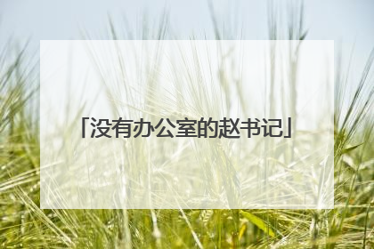 没有办公室的赵书记