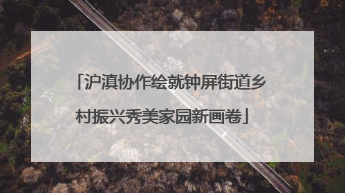 沪滇协作绘就钟屏街道乡村振兴秀美家园新画卷