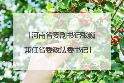 河南省委副书记张巍兼任省委政法委书记
