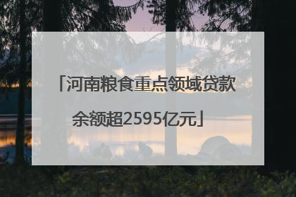 河南粮食重点领域贷款余额超2595亿元
